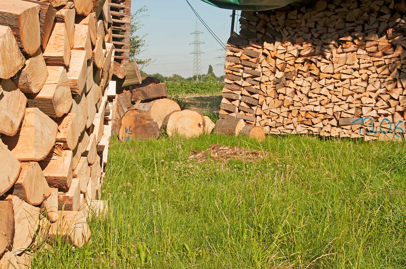brennholz-dirk-holz-wiese